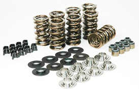 Patriot Gold LS Dual Valve Spring & Titanium Retainers Kit - lingenfelter.com